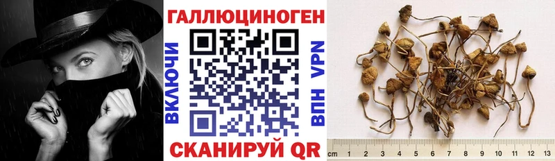 Псилоцибиновые грибы GOLDEN TEACHER  Красноуфимск 